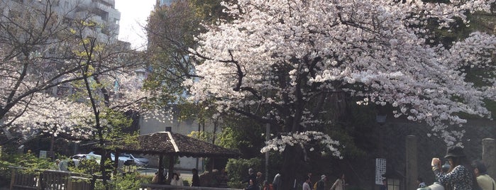 Otonashi Shinsui Park is one of Tokyo Sakura Tram (Toden Arakawa line).