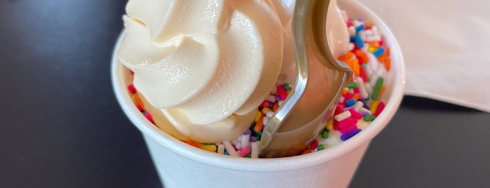 Golden Spoon Frozen Yogurt is one of With friends.