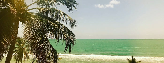 Golden Tulip Recife Palace is one of hoteis.