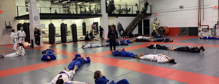 Renzo Gracie Fight Academy is one of New York.