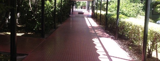 Colegio San Ignacio El Bosque is one of Lugares favoritos de Fran!.