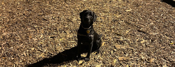 Orianna Hill Dog Park is one of Fishtown / N Liberties / Pt Richmond / Kensington.