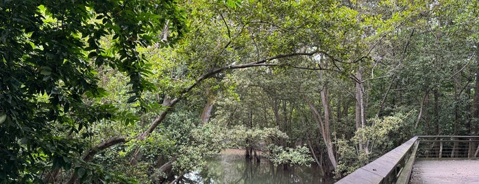 Labrador Nature Reserve Walking Trail is one of Singapore.