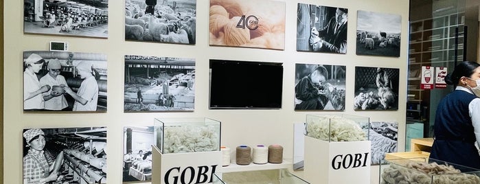 Gobi Factory store is one of Mongolia.