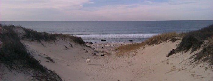 Philbin Beach is one of Martha's Vineyard.