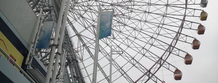 Tempozan Giant Ferris Wheel is one of Japan.