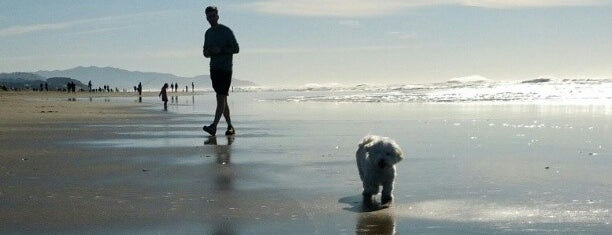 Ocean Beach is one of Left Coast (AZC) Anti-Zombie Compounds.