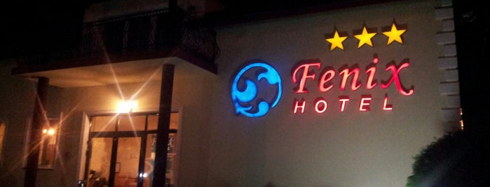 Fenix Hotel i Restauracja is one of Orte, die Deniss gefallen.