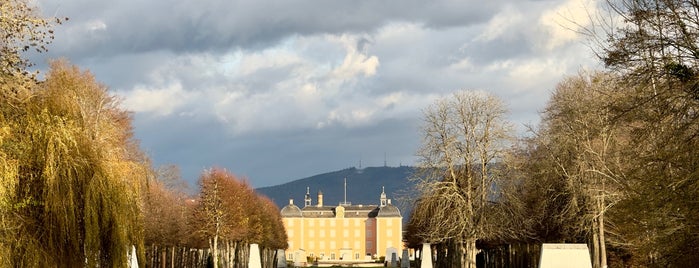 Schlossgarten Schwetzingen is one of Goodies.