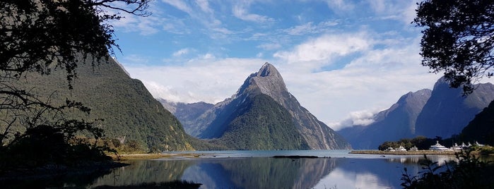 Milford Sound is one of The Real Middle Earth 🇳🇿.