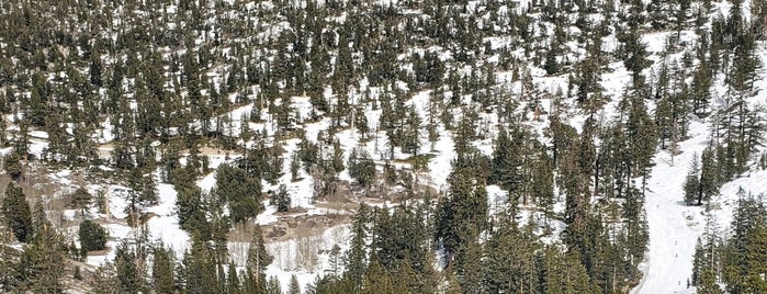 Top of The Mountain is one of Lake Tahoe&Reno.