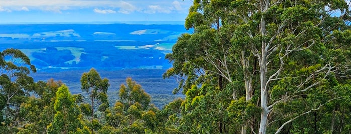 Otway Forest is one of Melbourne.