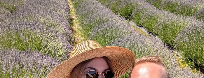 Lavender Valley is one of Portland to-do☮️.
