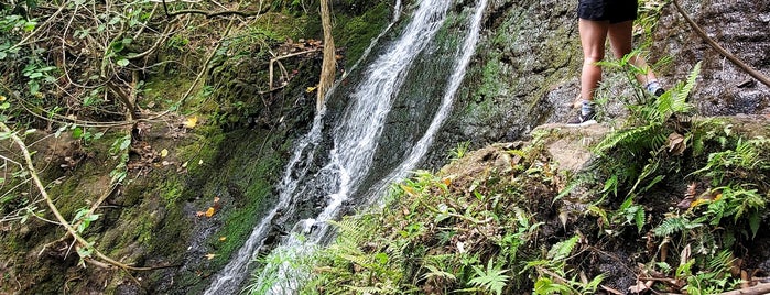 Likeke Falls is one of oahu.