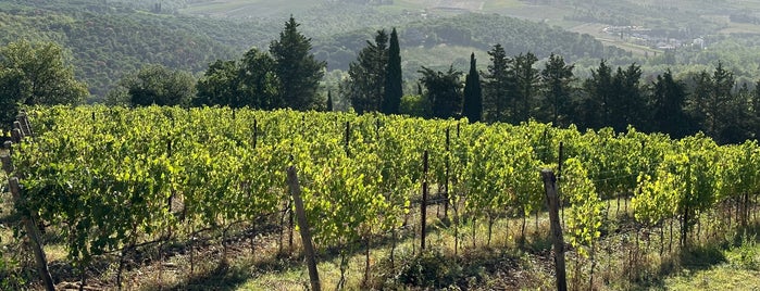 Castello Di Gabbiano is one of Vinyards of Toscana.
