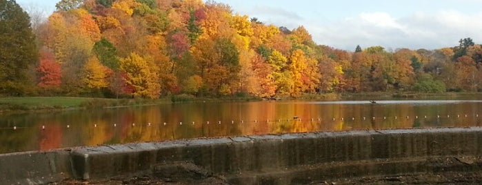 Beebe Lake is one of Cornell and Ithaca scenic views.