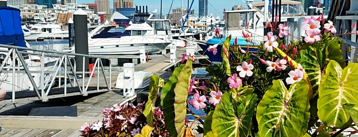 Harborview Marina is one of Baltimore MD.