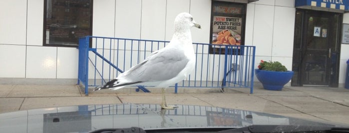 White Castle is one of Places I've been to eat in the North.