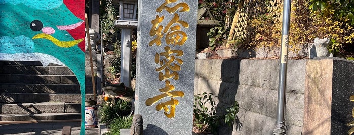 Nyoirinji Temple (Frog Temple) is one of 観光 行きたい.