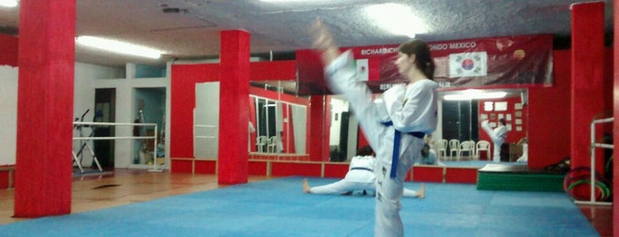 Richard Chun Taekwondo is one of Mis lugares favoritos.