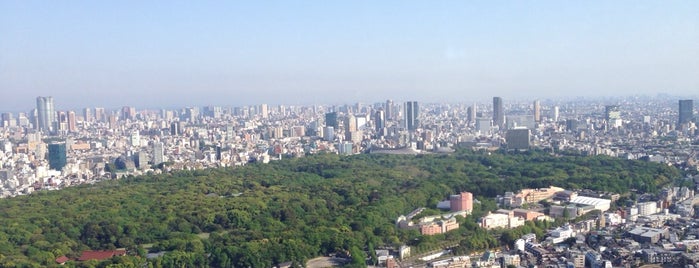 パークハイアット東京 is one of TOKYO.