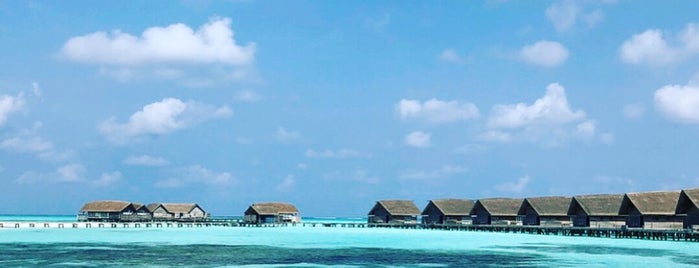 Cocoa Island Resort is one of Maldives.