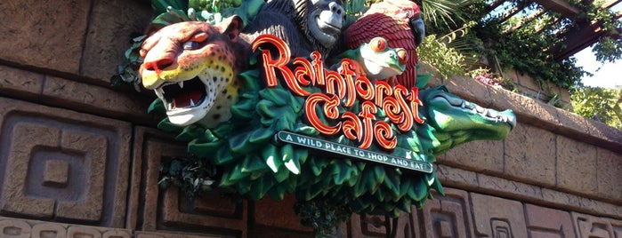 Rainforest Cafe is one of Good eats in Orange County.