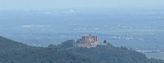 Rietburg is one of Pfalz - Deutsche Weinstraße.