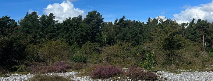 Feuersteinfelder is one of Ostsee, Stralsund, Rügen, Hiddensee.