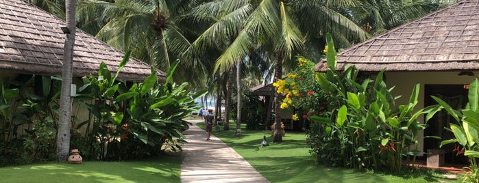 Terracotta resort & spa beach is one of Vietnam.
