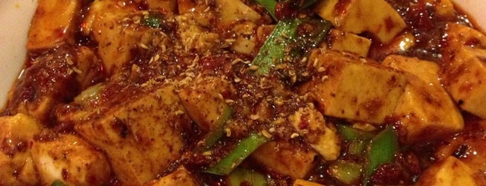 Szechuan Gourmet is one of The Best Chinese Food in NYC.