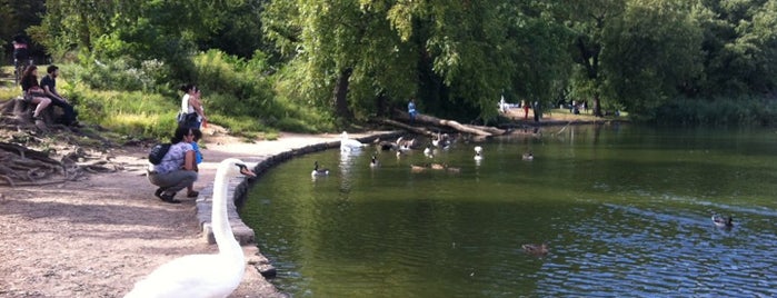 Prospect Park Lake is one of KW.'s Saved Places.
