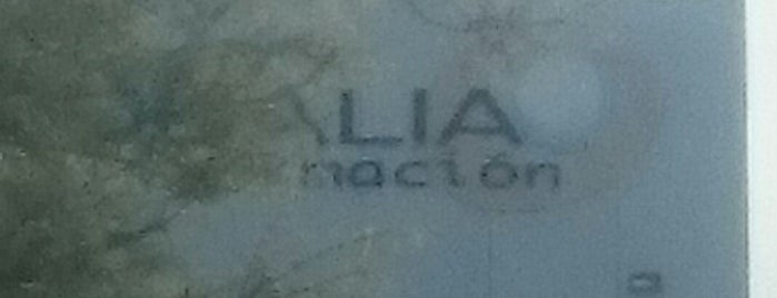 Globalia is one of Oficinas de cadenas hoteleras y similares.