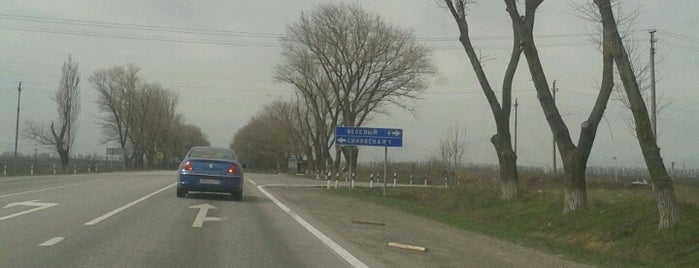 Таганрогское шоссе ростов-на-дону. Таганрогское кольцо ростов. Таганрогская 117 ростов-на-дону. Ростов таганрогское шоссе. Дорога ростов таганрог.