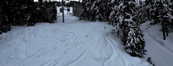 Catskinner Express is one of Best spring skiing spots on Blackcomb.