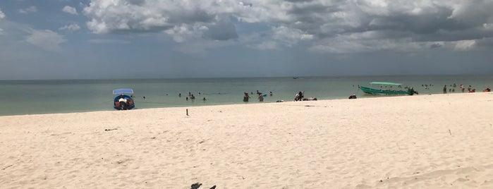 Playa de Celestún is one of สถานที่ที่ Josh ถูกใจ.