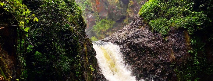 Cascadas Tulimán, Zacatlán Puebla is one of Tempat yang Disukai Josh.