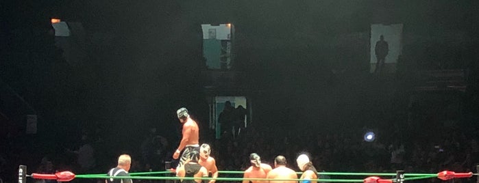 Arena México is one of Locais curtidos por Josh.