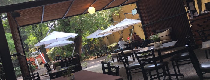Aurelia Café Restaurante is one of Lugares favoritos de Josh.