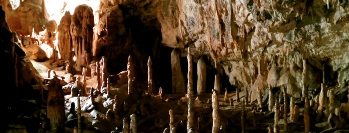 Adelsberger Grotte is one of .si.