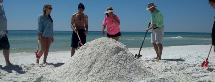 BeachSandSculptures.com SandCastle Lessons - Seagrove is one of Favorites.