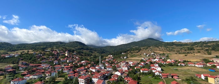 Yeşilce is one of Ordu.