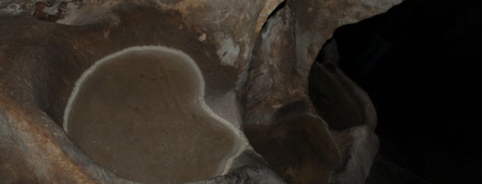 Cueva del Tesoro is one of Lugares favoritos de Francisco.