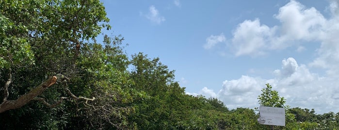 Parque da Cidade Gov. José Rollemberg Leite is one of Visite em Aracaju.