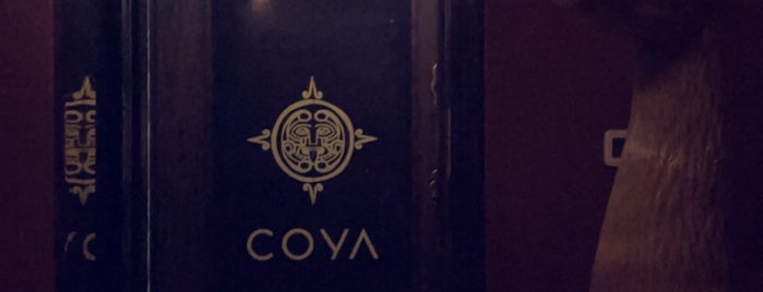 Coya is one of I tried, I will come again!.