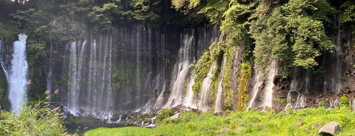 白糸の滝 is one of Shigeoさんの保存済みスポット.