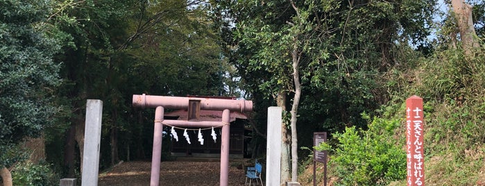 天津神社 is one of 神奈川西部の神社.