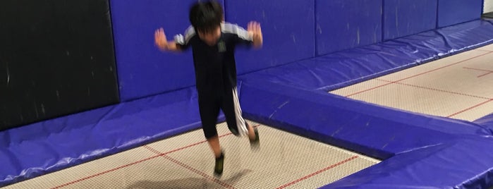 AMPED Trampoline Park is one of Deeさんの保存済みスポット.