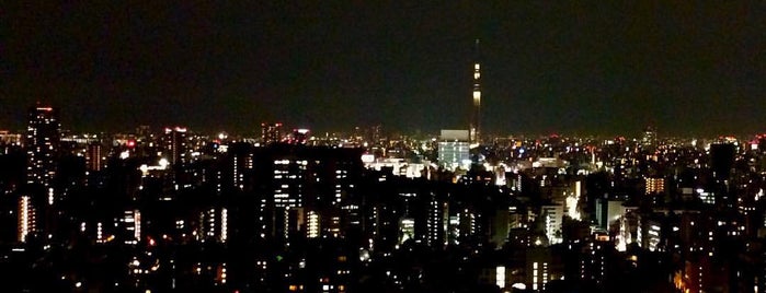 Sky View Lounge is one of Tokyo-Ueno.