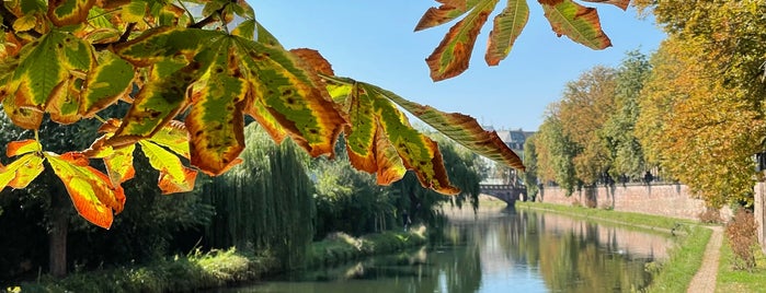 Quai Kléber is one of Strasbourg.